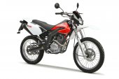 2008 Derbi Senda Baja 125 R photo